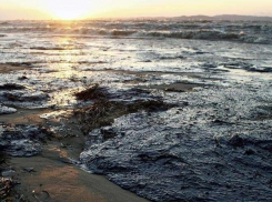 В водоеме под Анапой разлилась нефть