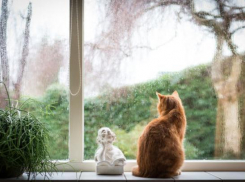 На Кубани малооблачно, местами пройдут дожди