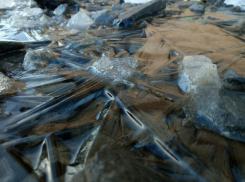  Несмотря на теплую погоду на Кубани ожидаются заморозки 