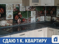 В Краснодаре сдается однокомнатная квартира без жильцов