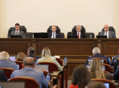 Кубанский парламент за 2024 год принял 244 закона 