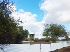  В Краснодаре остановили стройку, где рабочие незаконно срубили 39 деревьев 