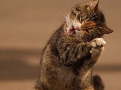 Погода приготовила кубанцам сюрприз