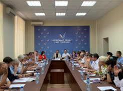 Активисты ОНФ по Краснодарскому краю отчитались о проделанной работе за первое полугодие