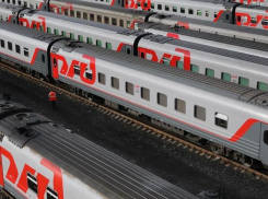 Отравлены 56 детей: суд приостановил работу вагон-ресторана «Мурманск-Адлер»