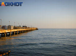 Роспотребнадзор не считает опасной выловленную в Чёрном море рыбу