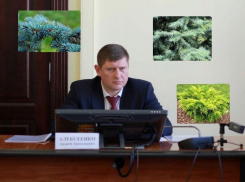 «Картина прискорбная»: в Краснодаре представили проект озеленения