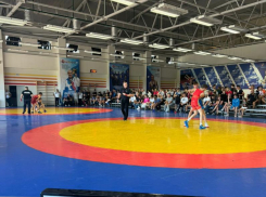 Сильнейшие борцы собрались в Краснодаре на турнире памяти мастера спорта СССР Владимира Узуна 