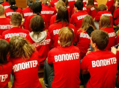 Бесплатную рабочую силу набирают в Краснодаре