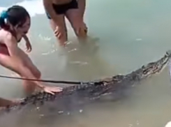 Смелый фотограф выгуливал крокодила на поводке на пляже в Анапе