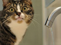 Жители Новороссийска остались без воды из-за аварии