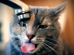 В Темрюкском районе восстановили нарушенное водоснабжение 