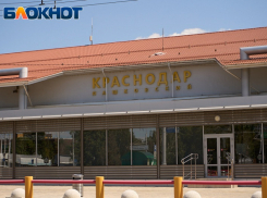 Аэропорт Краснодара потратит 200 тысяч рублей на отпугиватель птиц