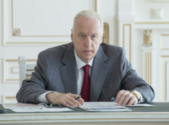 Александр Бастрыкин поставил на контроль дело по факту гибели девочки из Краснодара от атаки питбультерьеров