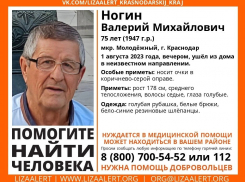  В Краснодаре пропал 75-летний мужчина, нуждающийся в помощи