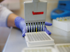 Снова рост: на Кубани выявили 89 новых случаев заболевания коронавирусом
