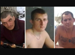 В России 47000 человек подписали петицию за высшую меру наказания убийцам аниматоров