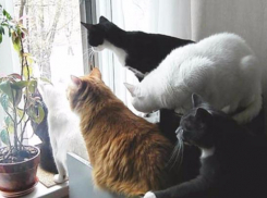 Синоптики: погода на выходных будет теплой, но с неприятными сюрпризами