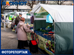 «Пыль, потемки, яйца»: кошмары и радости переехавшей на Длинную ярмарки в Краснодаре 