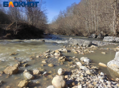 Большинство краснодарцев на новогодние праздники решили остаться дома и кушать