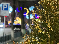 В пятницу на Кубани до 11 градусов тепла и мокрый снег 