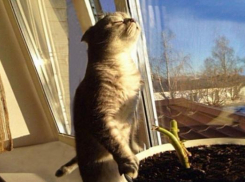 В последний рабочий день года на Кубани тепло и солнечно