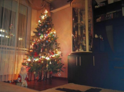 Что в Краснодаре делают с выкинутыми елками