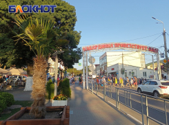 «Море тёплое, но грязное, плавают фантики, лизуны и мелкий мусор»: туристка сравнила Геленджик и Кабардинку