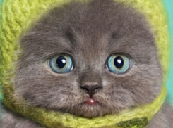 На Кубани на выходных ожидается резкое ухудшение погоды