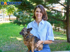 Об усыплении животных, роковых выездах на дом и высоком чеке: с чем и как ежедневно работает ветеринар