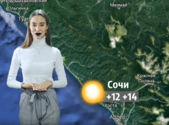 Какую погоду ждать в Краснодарском крае 8 и 9 декабря