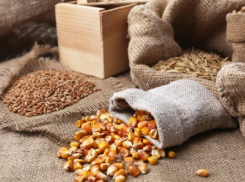 Краснодарский «Агриплант» продается на аукционе за 420 млн рублей