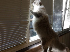  По-весеннему тепло будет на Кубани в этот зимний день 