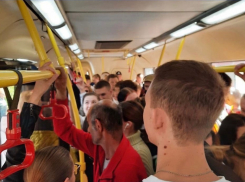 В Краснодаре установили проезд в новом маршруте гортранспорта в 34 рубля