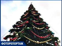 Главную городскую ёлку Краснодара нарядили к Году Дракона: фоторепортаж