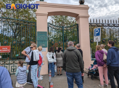 Дендрарий в Краснодаре закрыли из-за санитарных работ 