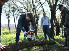 В Краснодаре в рамках двухмесячника по наведению порядка очистили лесополосу на Красных Партизан