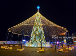 Метры красоты, тысячи огней и уникальные игрушки: подборка главных городских елей Кубани 