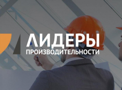 25 компаний Кубани в течение года приняли участие в программе «Лидеры производительности»