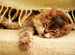 Рабочая неделя на Кубани начнется с дождя и мокрого снега 