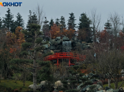 Ударит морозом, а затем подкинет +17: погода «сходит с ума» в Краснодаре