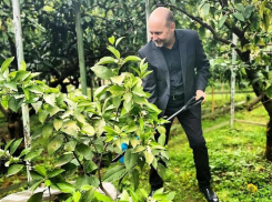 «Браслет уже сняли»: экс-директору сочинского санатория «Знание» отменили домашний арест