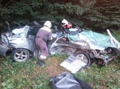 На Кубани в страшном ДТП пострадали трое детей 