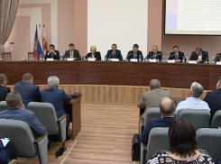 Глава Сочи объяснил фермерам, когда надо резать амброзию