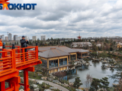 Без стресса и пробок, астрономические зарплаты, нет обмана и дешёвое жильё: краснодарцы дают вредные советы «понаехам»