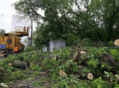 Новороссийцы устроят общегородской субботник после урагана