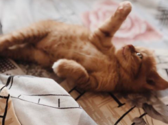 Каким будет конец лета, рассказали синоптики