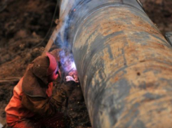 Вор должен сидеть в тюрьме