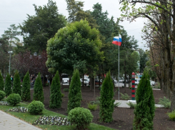  Краснодарцам напомнили про голосование по выбору зеленых зон для благоустройства 