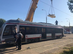 В мэрии Краснодара объяснили, почему общественный транспорт оформляют в едином стиле